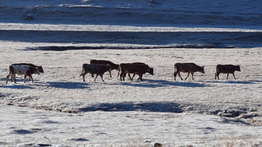 Kars’ta soğuk hava yaşamı olumsuz etkiliyor