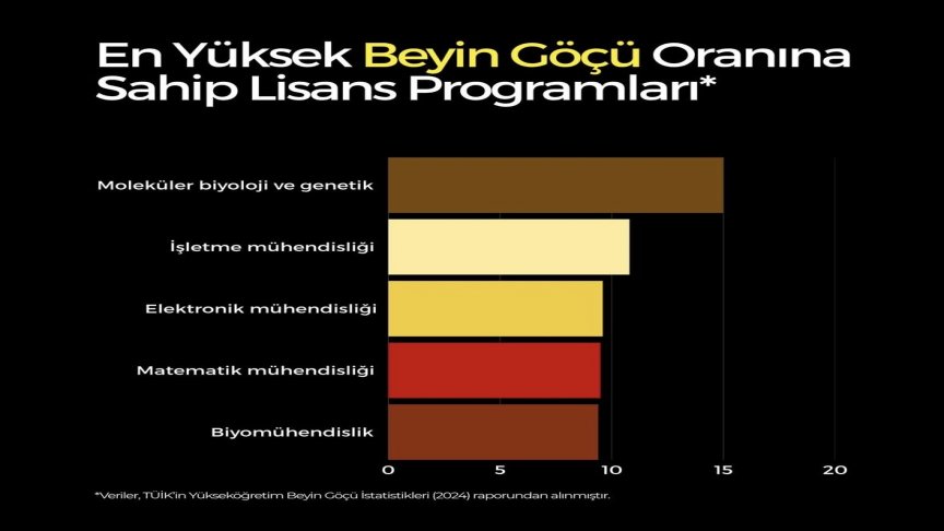 Türkiye’de En Yüksek Beyin Göçü Oranına Sahip Bölümler Açıklandı