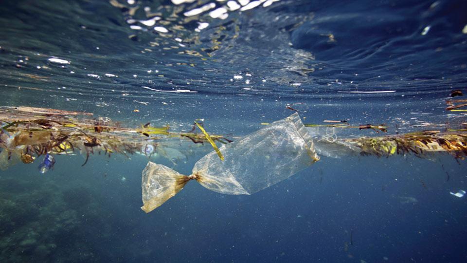 Greenpeace: Plastik, virüsün en uzun tutunma süresine sahip olduğu materyallerden biri