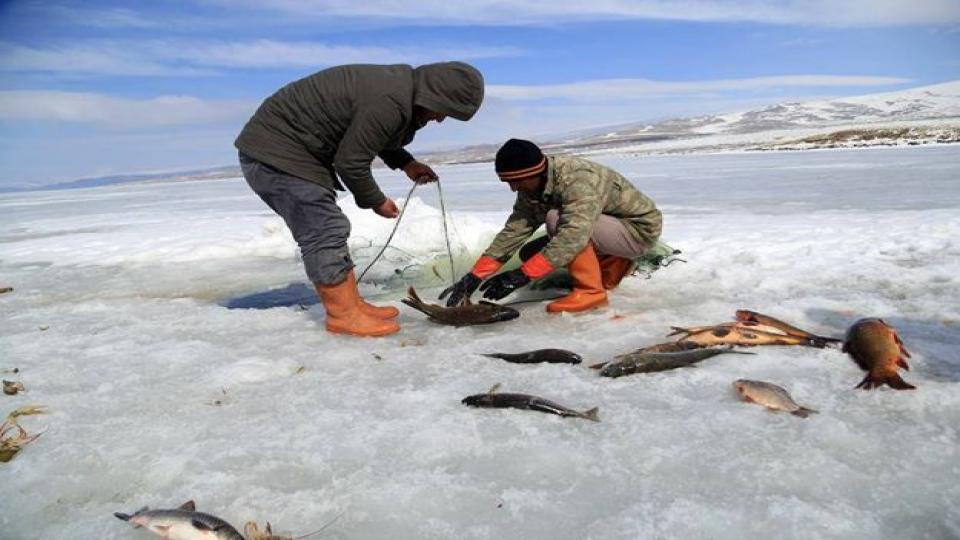 Kars'ta balık avı yasağı başlıyor!