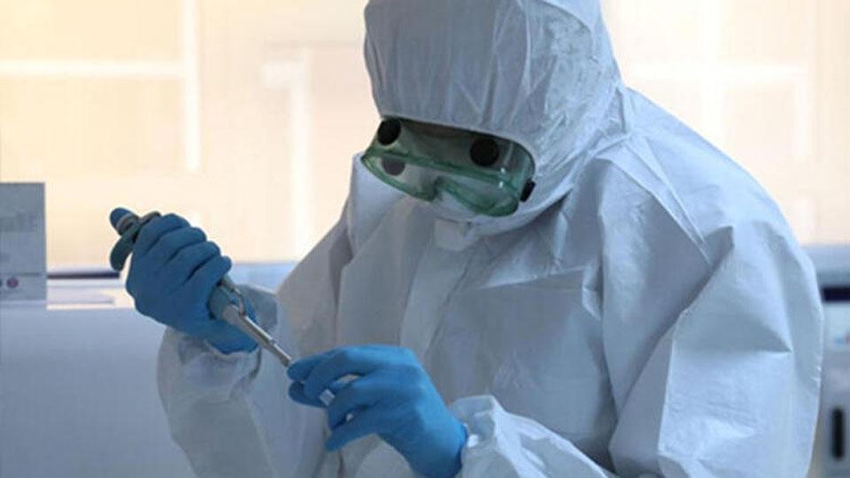 Dünya Sağlık Örgütü: Koronavirüs salgını yeni ve tehlikeli bir aşamaya giriyor