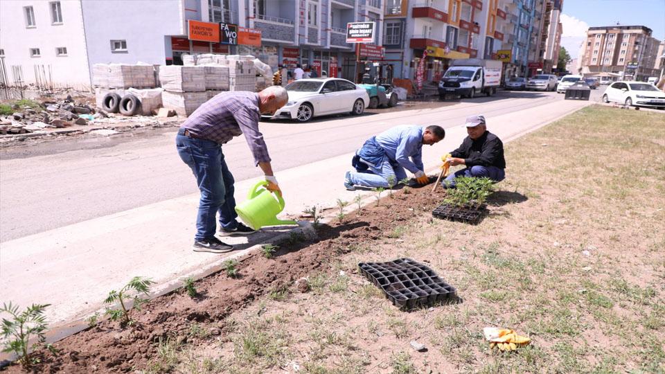 Serhatın Sesi / Serhat Diyarından Haberler / Kars Belediyesi Kentte Projelerini Hayata Geçirmeye Başladı