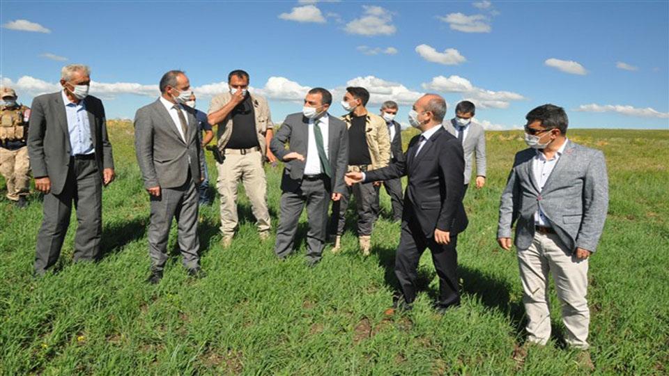 Serhatın Sesi / Serhat Diyarından Haberler / Kars’ta, “Kavılca Buğdayı Tanıtımı ve Yaygınlaştırılması Projesi”