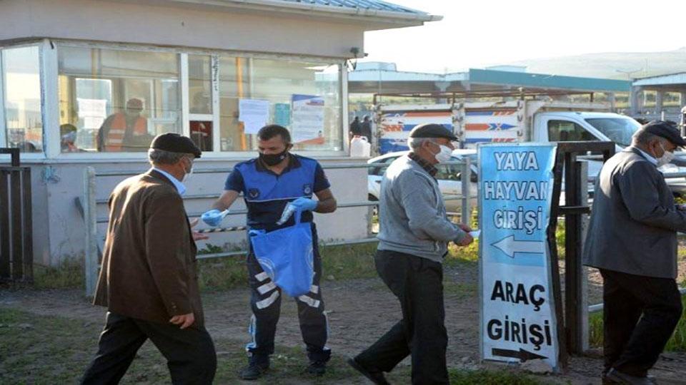Serhatın Sesi / Serhat Diyarından Haberler / Ardahan canlı hayvan pazarı tekrardan açıldı