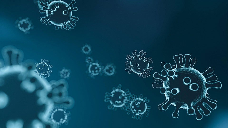 Koronavirüs Güncesi: Vaka sayısı 29 milyonu aştı