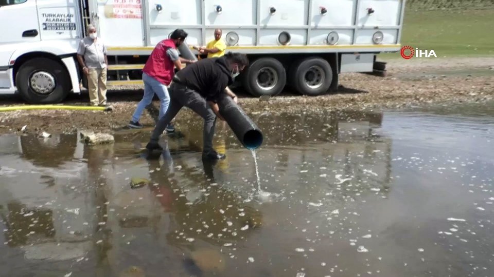 Serhatın Sesi / Serhat Diyarından Haberler / Kars’ta 2 milyon sazan yavrusu göllere bırakıldı