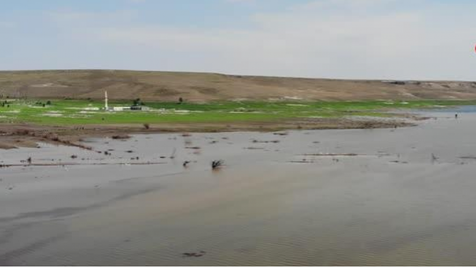 Serhatın Sesi / Serhat Diyarından Haberler / Kars'ta baraj gölü su kuşlarını ağırlıyor 